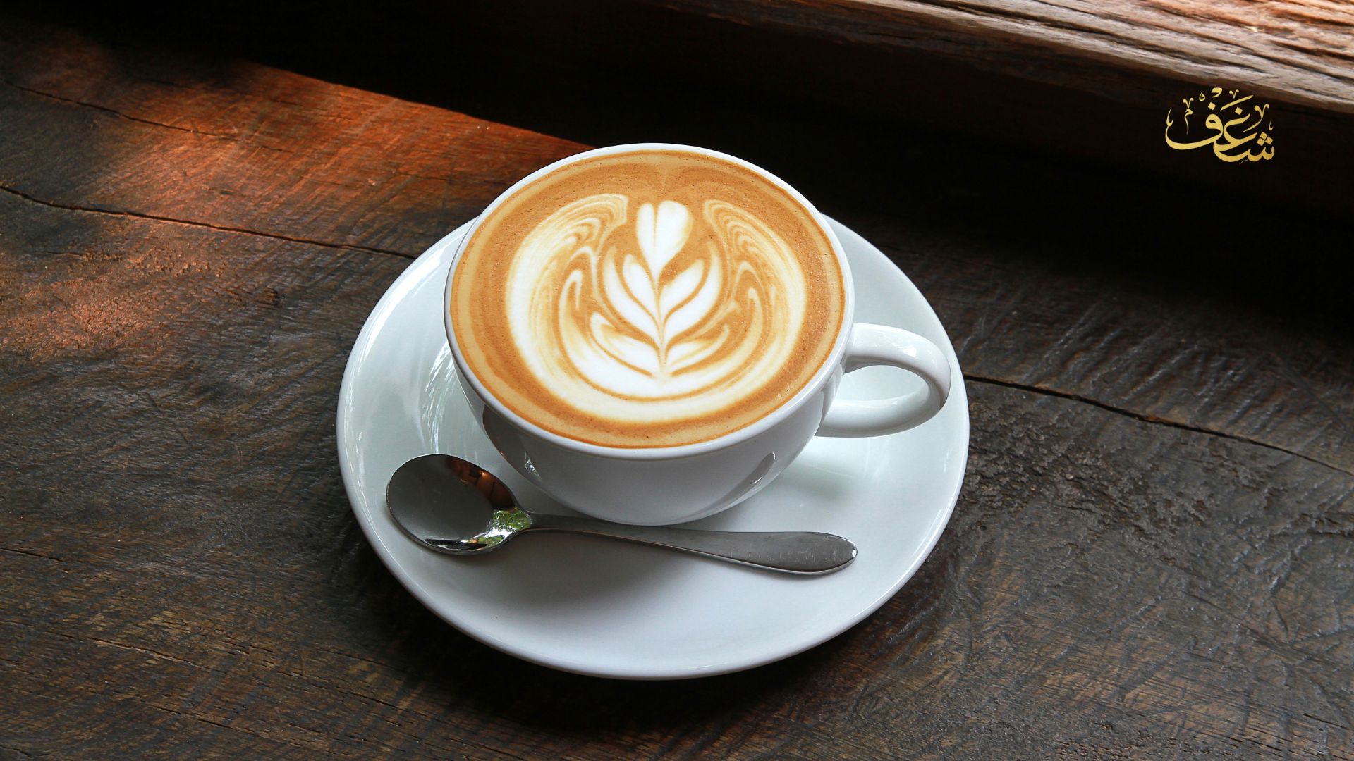 How We Brew the Perfect Espresso at Shaghfva Café