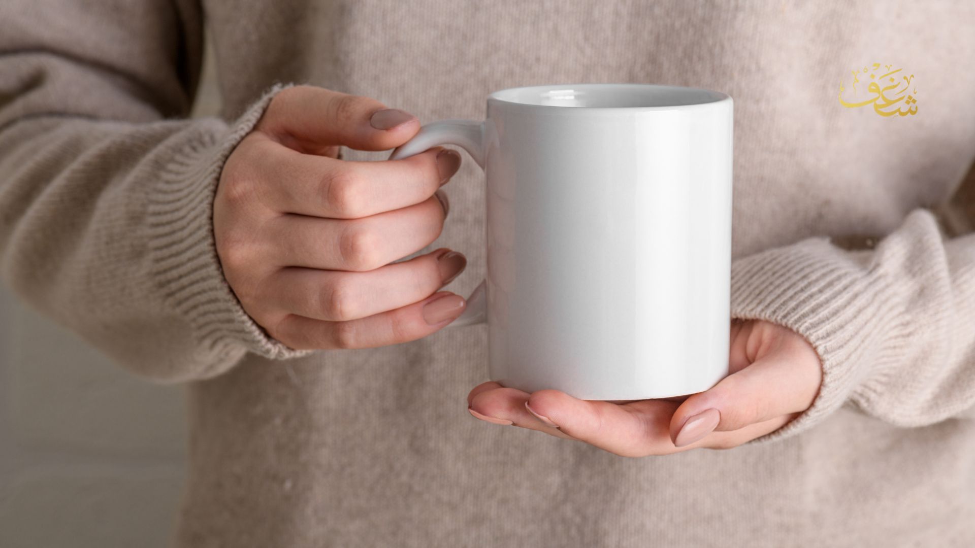 Best Afternoon Coffee Spot in Centreville VA bright cozy café interior.